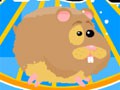 CORRE HAMSTER!