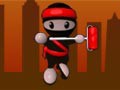 NINJA PINTOR