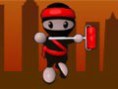 NINJA PINTOR